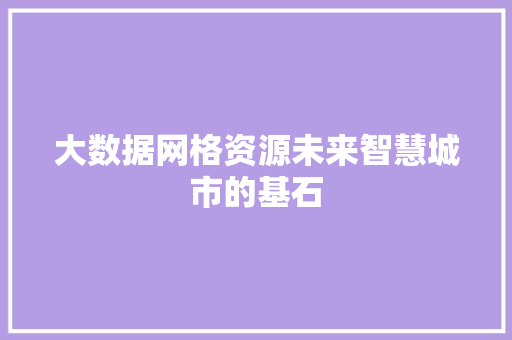 大数据网格资源未来智慧城市的基石