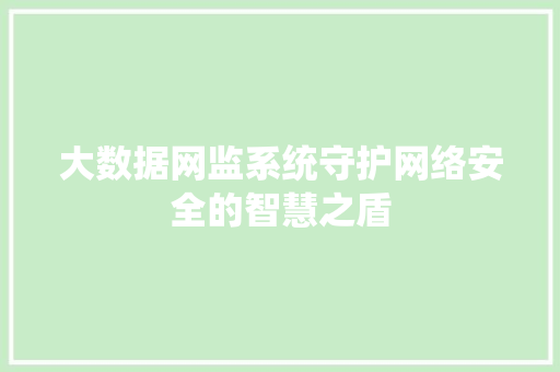 大数据网监系统守护网络安全的智慧之盾