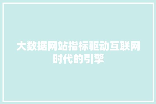 大数据网站指标驱动互联网时代的引擎