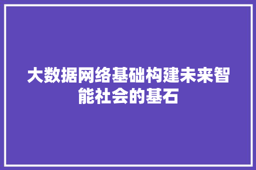 大数据网络基础构建未来智能社会的基石