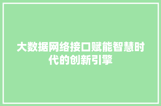 大数据网络接口赋能智慧时代的创新引擎
