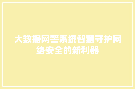 大数据网警系统智慧守护网络安全的新利器
