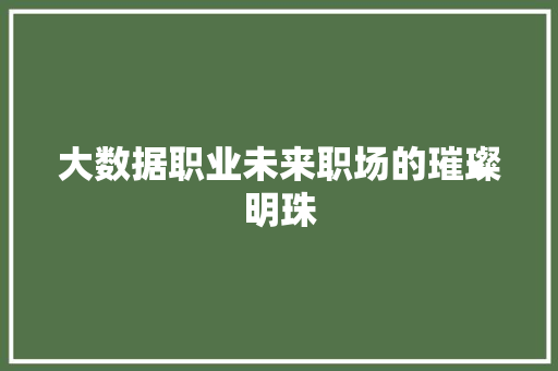 大数据职业未来职场的璀璨明珠 友链在线