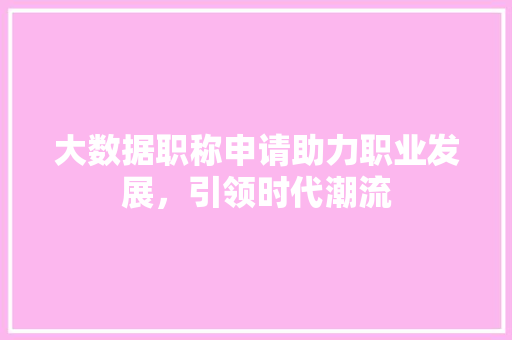 大数据职称申请助力职业发展，引领时代潮流 SEO教程