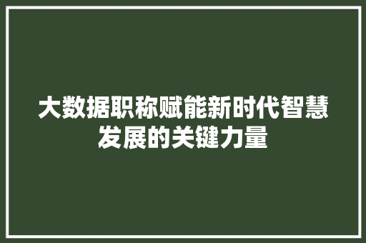 大数据职称赋能新时代智慧发展的关键力量