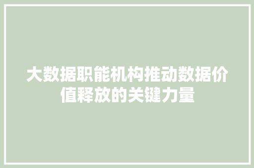 大数据职能机构推动数据价值释放的关键力量