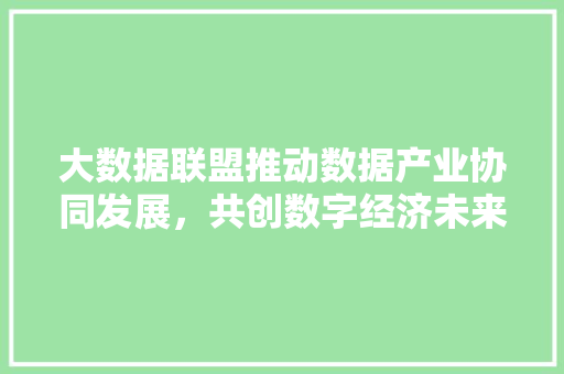大数据联盟推动数据产业协同发展，共创数字经济未来
