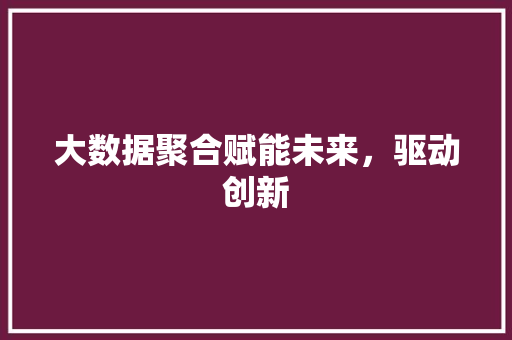 大数据聚合赋能未来，驱动创新