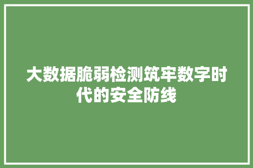 大数据脆弱检测筑牢数字时代的安全防线