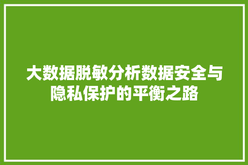 大数据脱敏分析数据安全与隐私保护的平衡之路