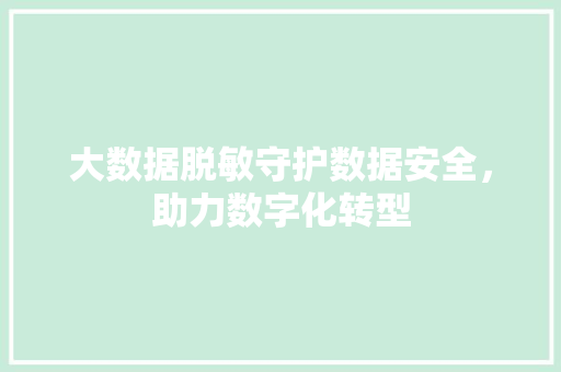 大数据脱敏守护数据安全，助力数字化转型