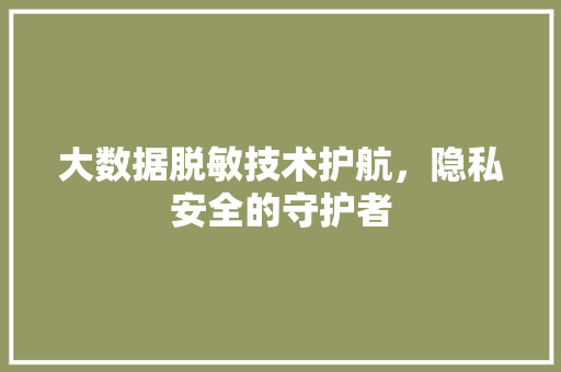 大数据脱敏技术护航，隐私安全的守护者