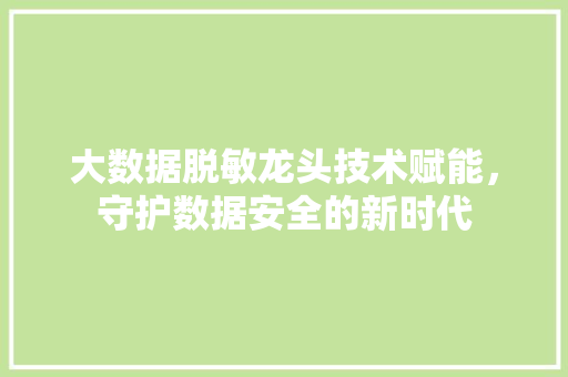 大数据脱敏龙头技术赋能，守护数据安全的新时代