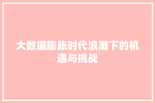 大数据膨胀时代浪潮下的机遇与挑战