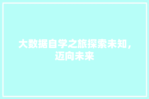 大数据自学之旅探索未知，迈向未来