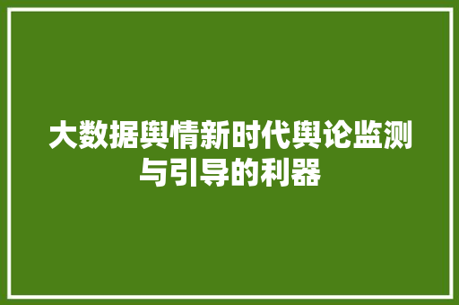 大数据舆情新时代舆论监测与引导的利器