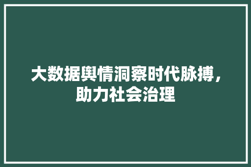 大数据舆情洞察时代脉搏，助力社会治理