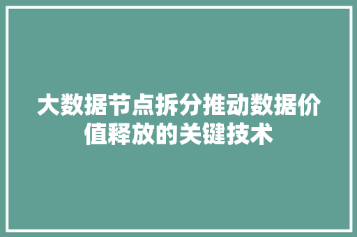 大数据节点拆分推动数据价值释放的关键技术