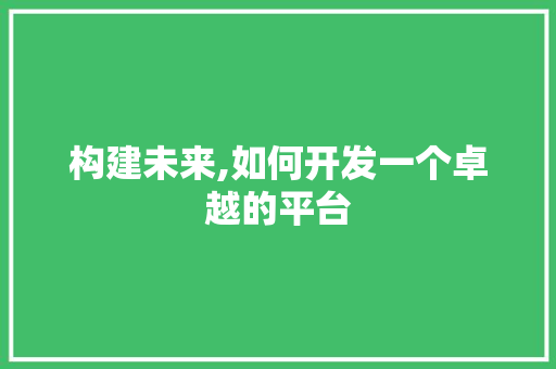 构建未来,如何开发一个卓越的平台