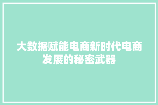 大数据赋能电商新时代电商发展的秘密武器