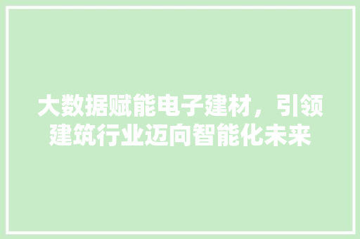 大数据赋能电子建材，引领建筑行业迈向智能化未来