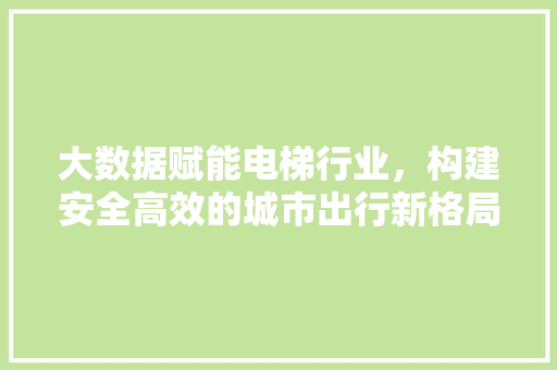 大数据赋能电梯行业，构建安全高效的城市出行新格局