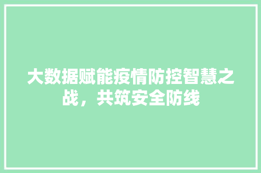大数据赋能疫情防控智慧之战，共筑安全防线
