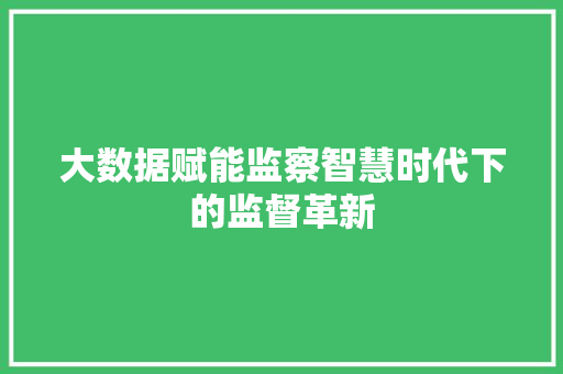 大数据赋能监察智慧时代下的监督革新 大数据赋能监察智慧时代下的监督革新