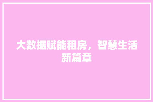 大数据赋能租房，智慧生活新篇章