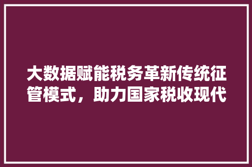 大数据赋能税务革新传统征管模式，助力国家税收现代化