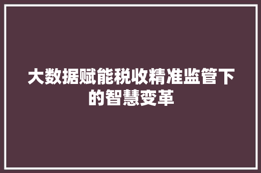 大数据赋能税收精准监管下的智慧变革