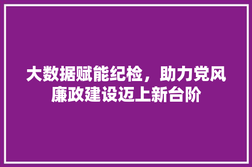 大数据赋能纪检，助力党风廉政建设迈上新台阶