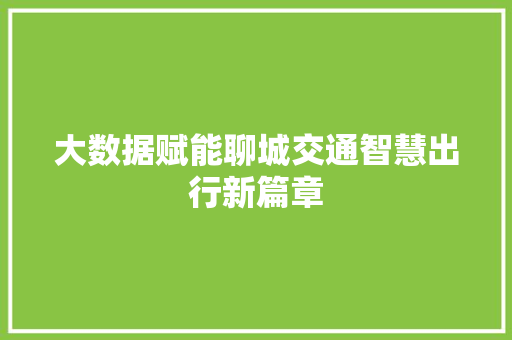 大数据赋能聊城交通智慧出行新篇章