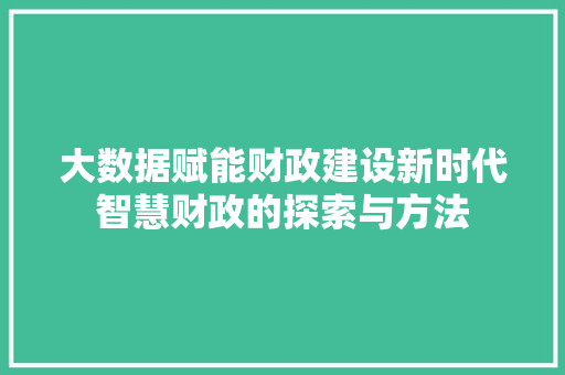 大数据赋能财政建设新时代智慧财政的探索与方法