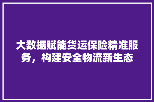 大数据赋能货运保险精准服务，构建安全物流新生态