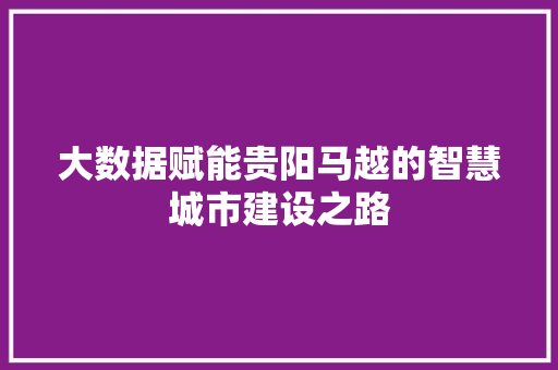 大数据赋能贵阳马越的智慧城市建设之路