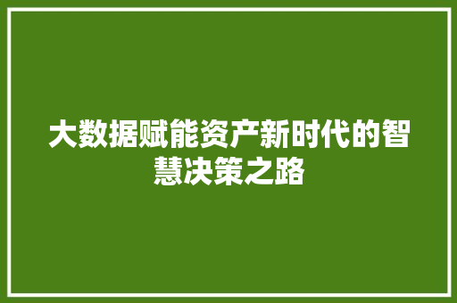 大数据赋能资产新时代的智慧决策之路