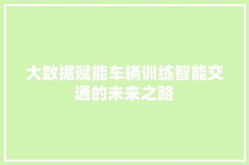 大数据赋能车辆训练智能交通的未来之路