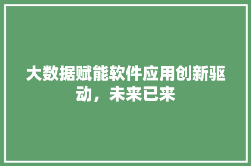 大数据赋能软件应用创新驱动，未来已来