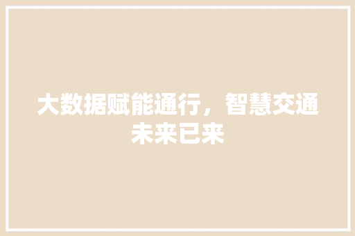 大数据赋能通行，智慧交通未来已来