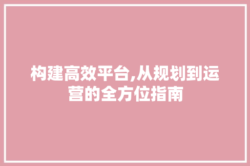 构建高效平台,从规划到运营的全方位指南