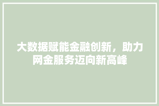 大数据赋能金融创新，助力网金服务迈向新高峰