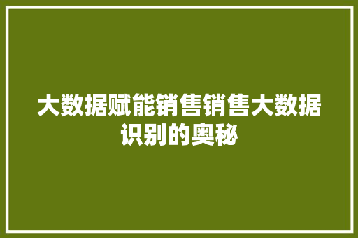 大数据赋能销售销售大数据识别的奥秘