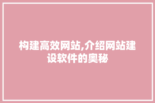 构建高效网站,介绍网站建设软件的奥秘