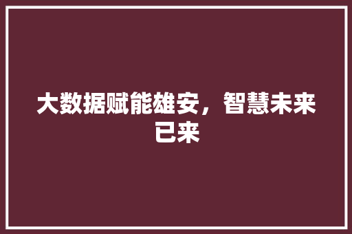 大数据赋能雄安，智慧未来已来