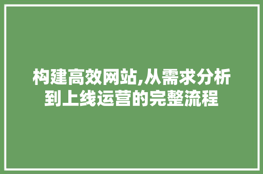 构建高效网站,从需求分析到上线运营的完整流程