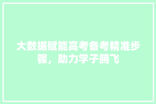 大数据赋能高考备考精准步骤，助力学子腾飞