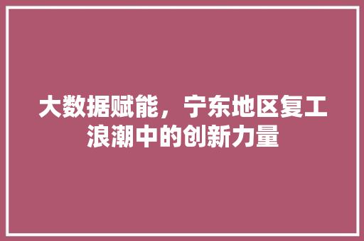大数据赋能，宁东地区复工浪潮中的创新力量