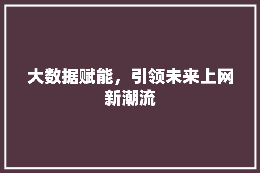 大数据赋能，引领未来上网新潮流