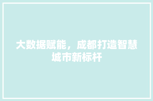 大数据赋能，成都打造智慧城市新标杆